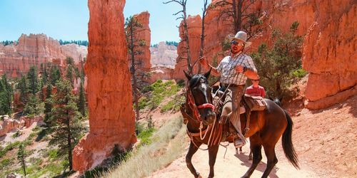 Bryce Canyon Horse