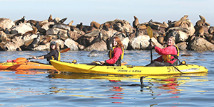 Monterey - Kayak dans la baie de Monterey