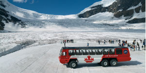 Jasper - Excursion sur le glacier Athabasca