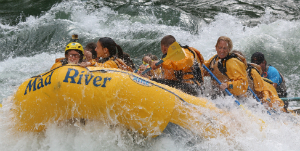 Jackson - Mad River Rafting