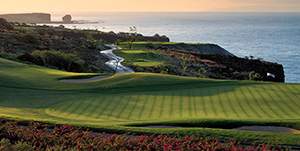 Hawaii - Ocean View From Every Hole