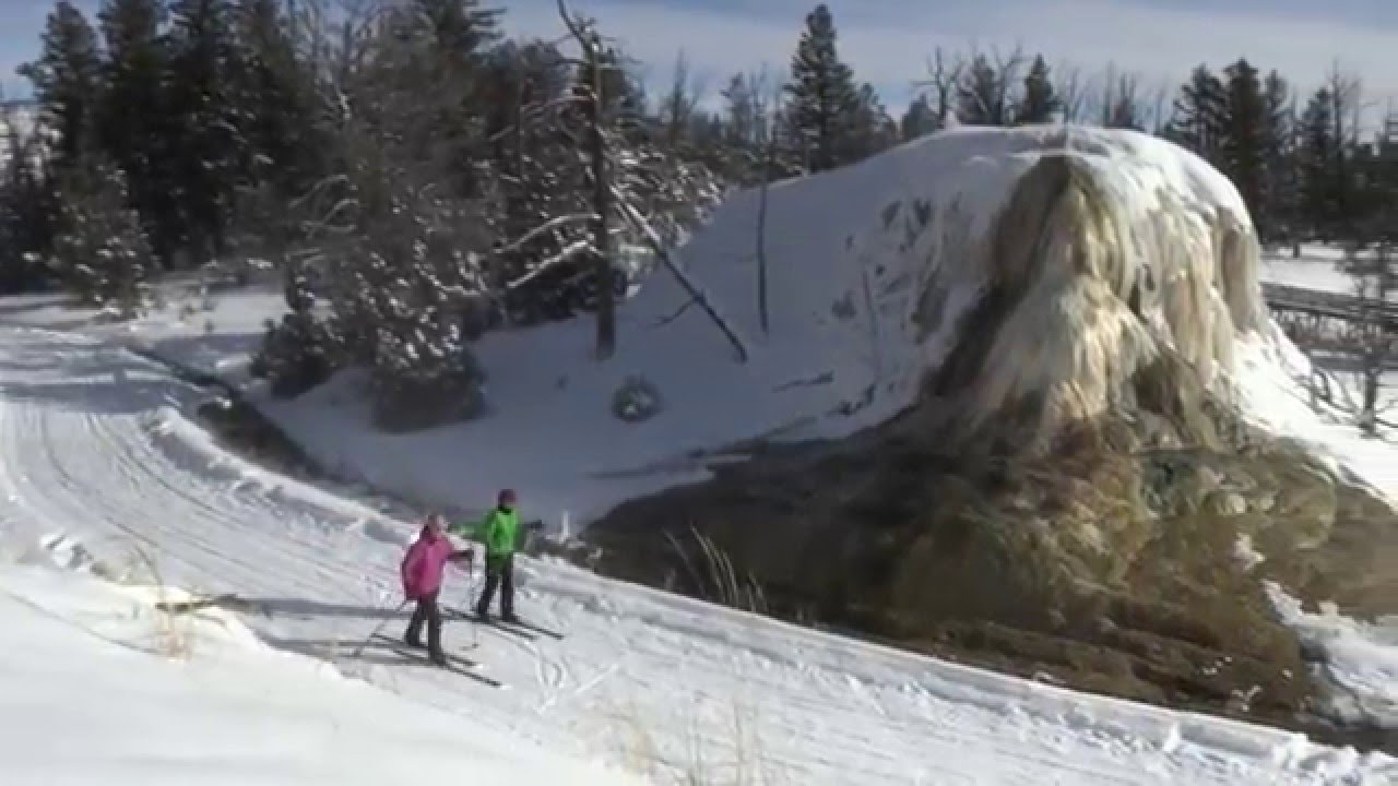 Minute Out In It: Snow Day!