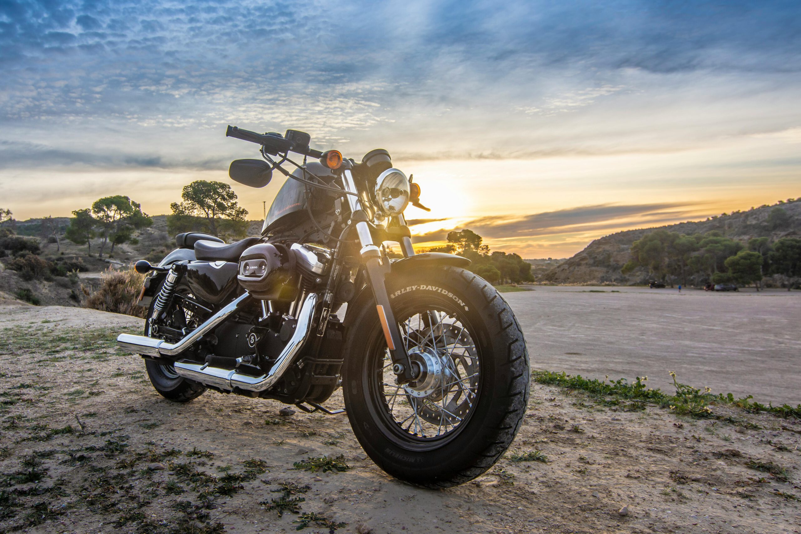 Harley Davidson Motor