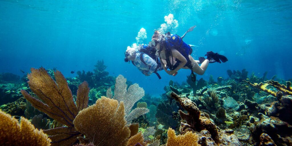 Andros diving