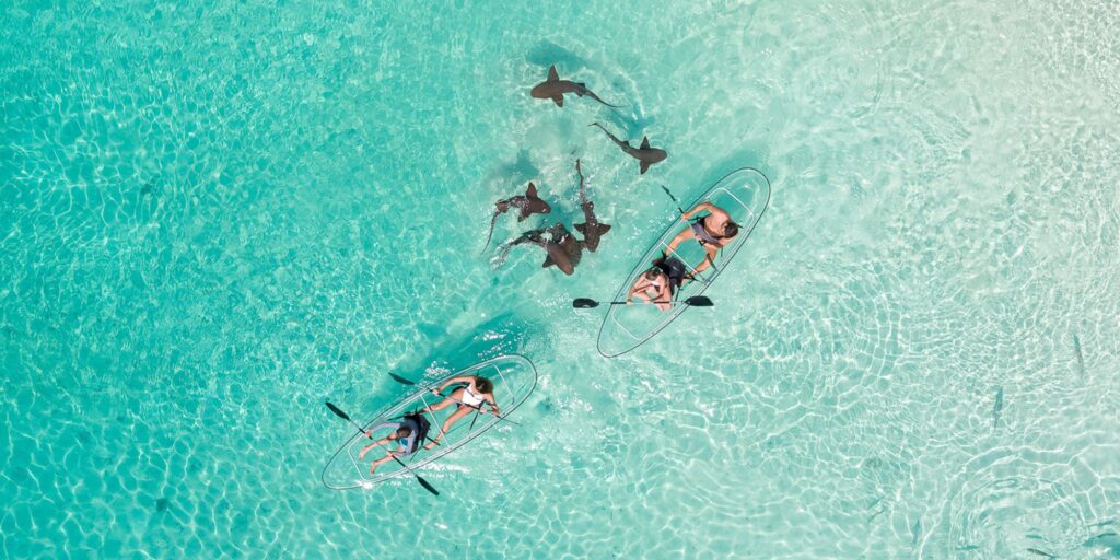 Bahamas inagua kayak