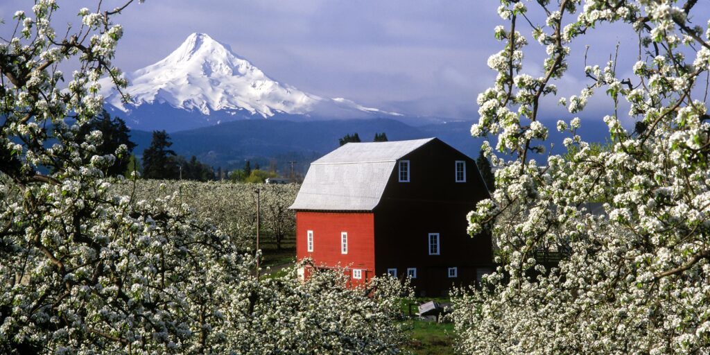 OR Mount Hood