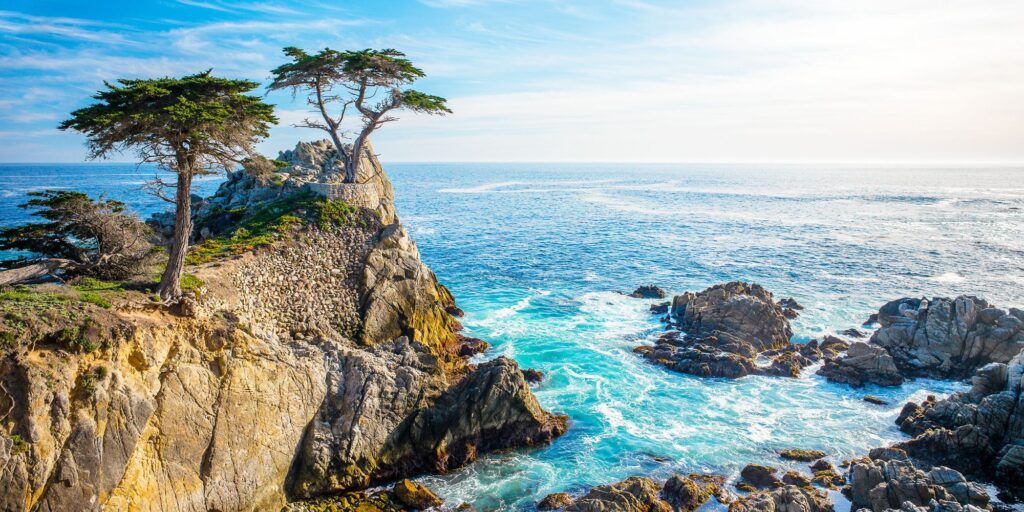 Tee Lone Cypress Pebble Beach