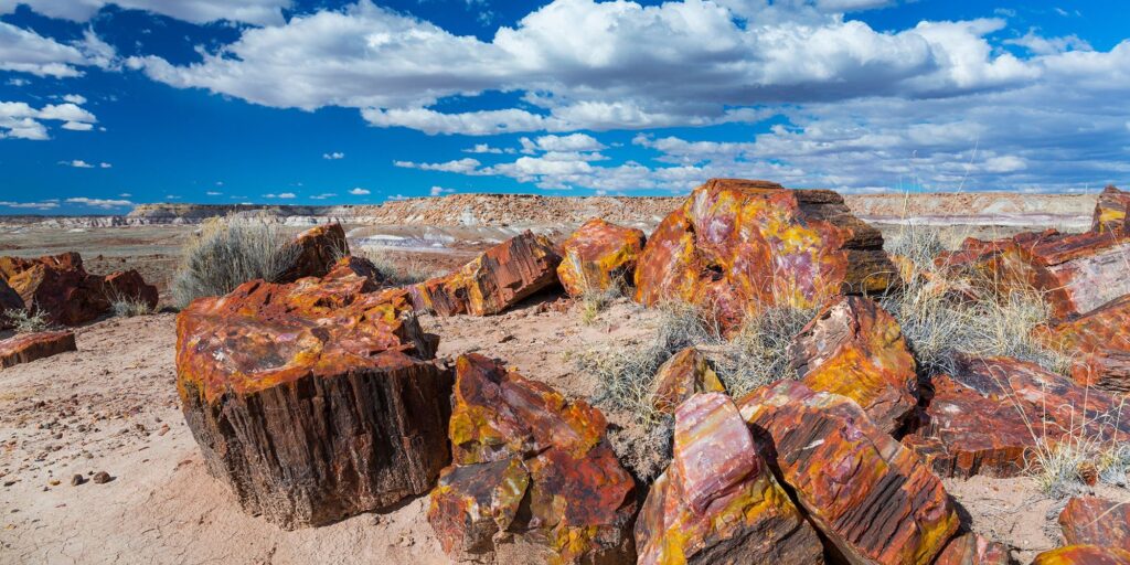 AZ Petrified Forest