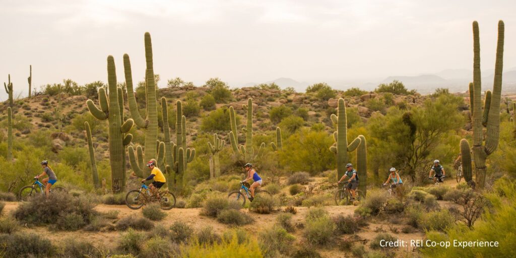 AZ Scottsdale Sonoran Desert