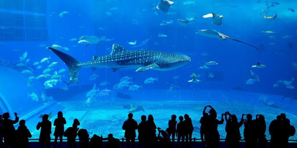 GA Atlanta Aquarium