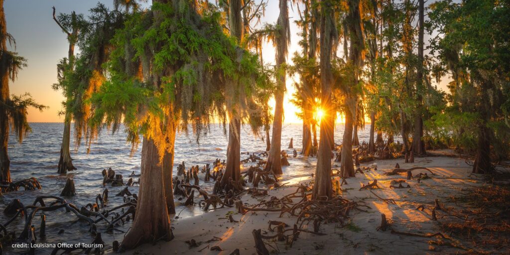 LA Lakefront sunset at Fontainebleau State Park in Mandeville, on Louisiana's Northshore