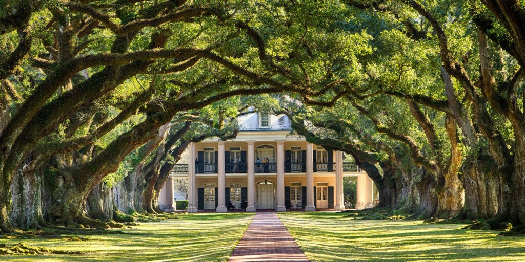 LA Plantation