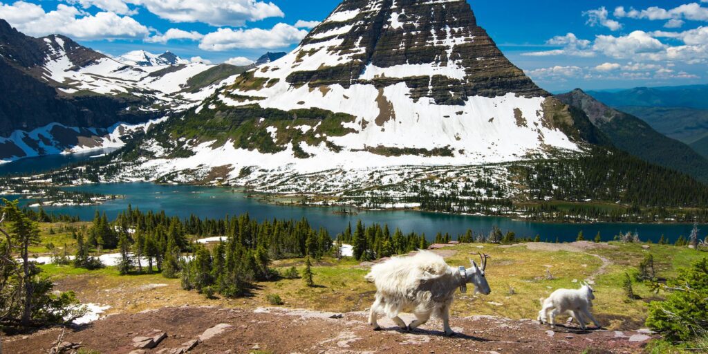 MT Glacier Montana