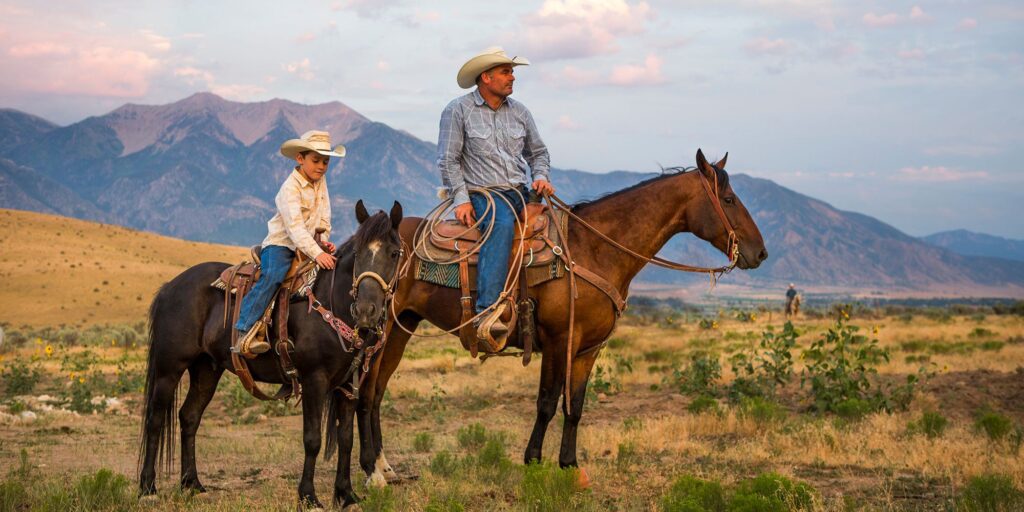 MT cowboy Montana