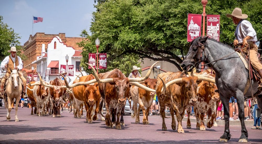 TX Fort Worth Stampede
