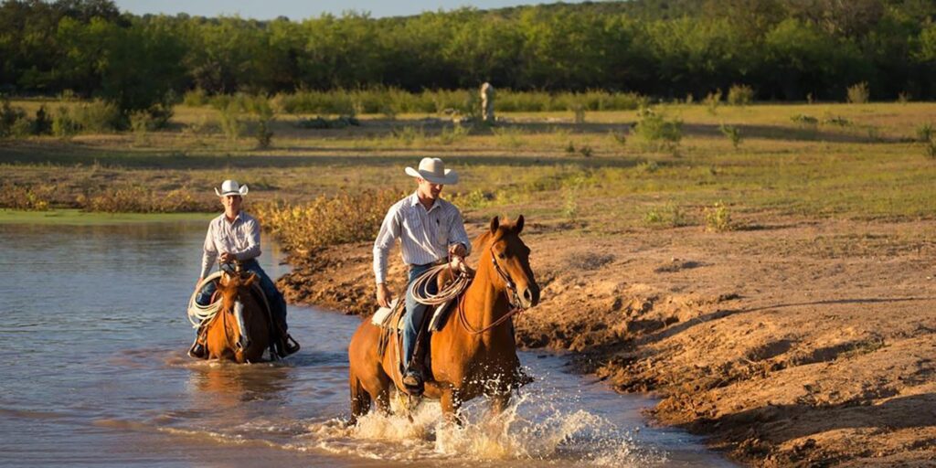 TX Wildcatter Ranch Horse