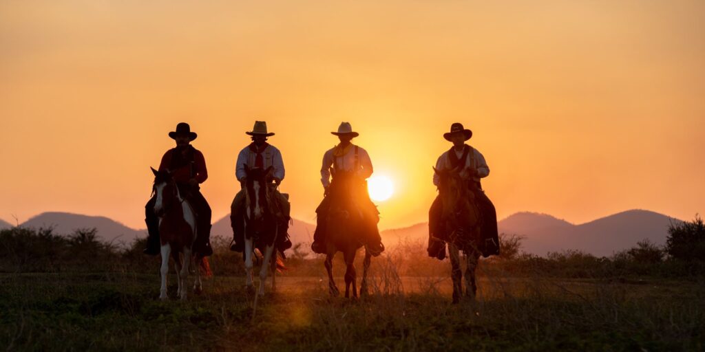 TX texas cowboys