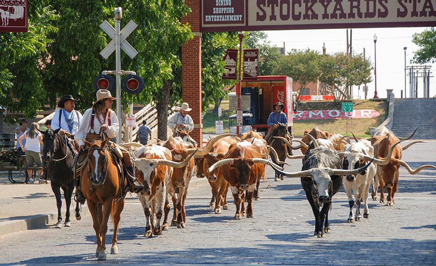 Texas & Le Sud