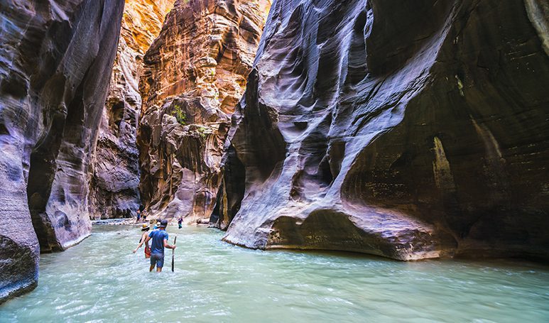 zion narrow with vergin river in Zion National park,Utah,usa.
