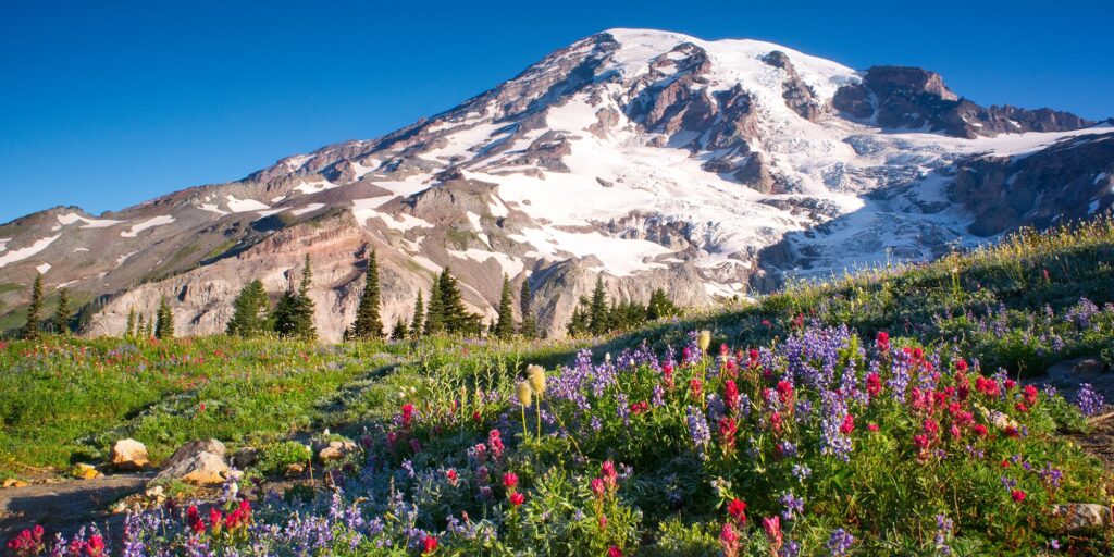 WA Mont Rainier
