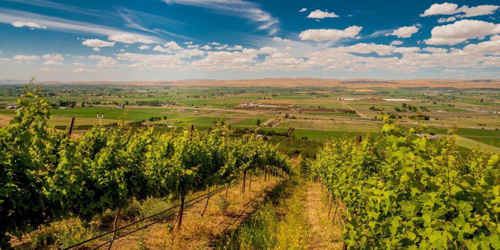 WA Yakima Washington State