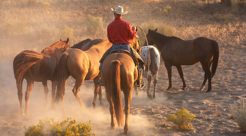 Cowboy's,Circle