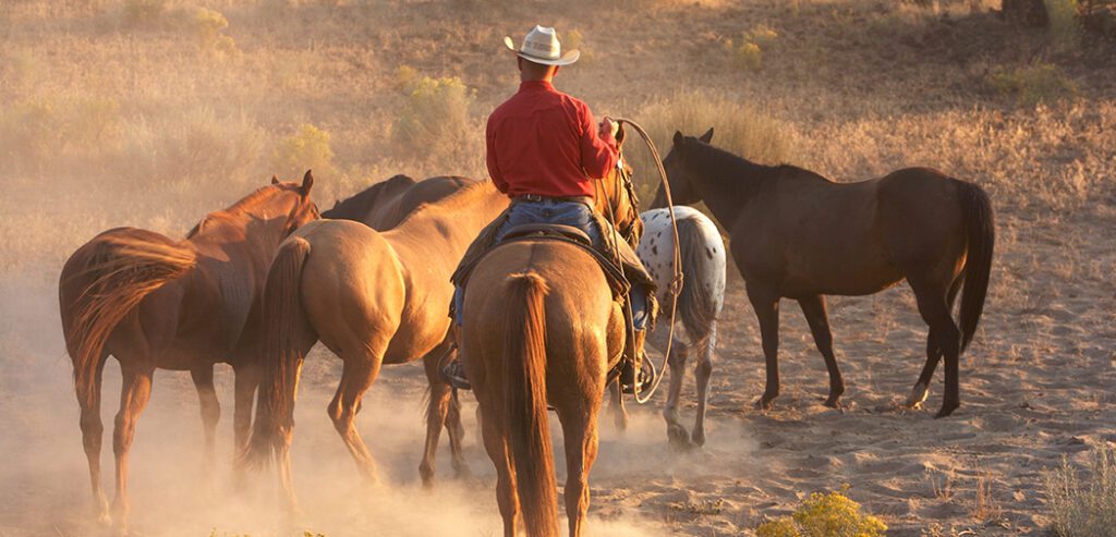 Cowboy's,Circle
