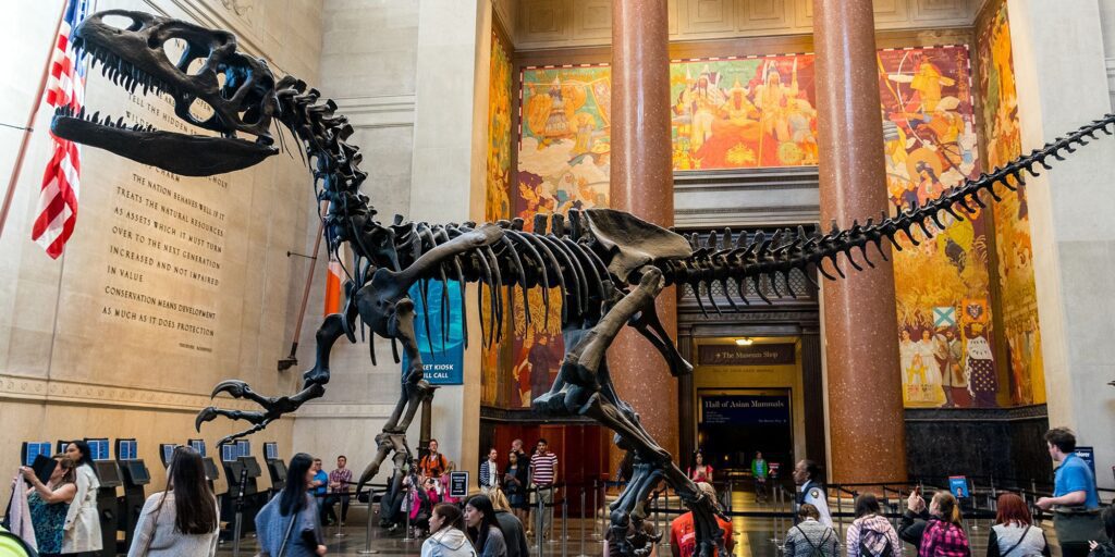New York National History Museum