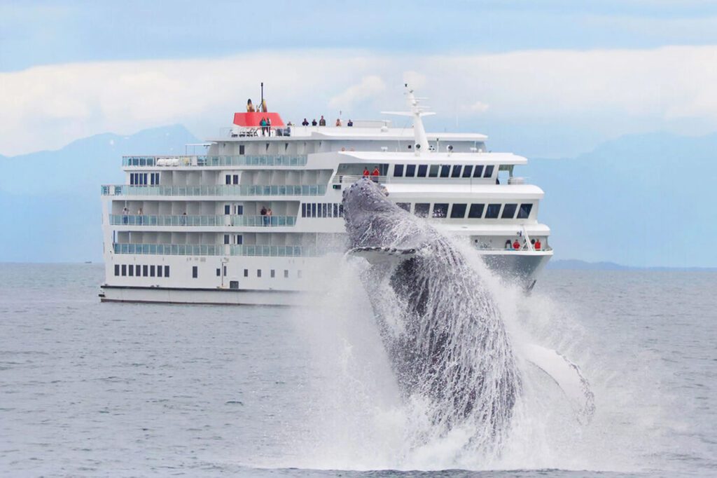 Walvis springt uit het water omhoog voor de American Constellation boot in Alaska