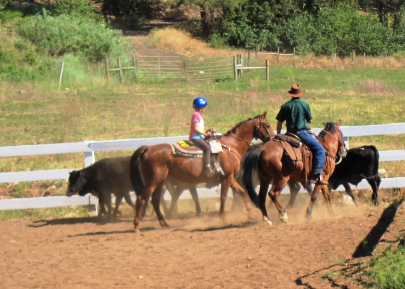 Colorado Trails Ranch