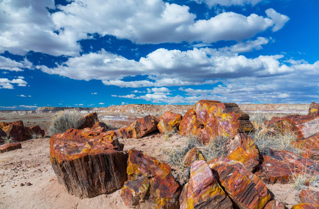 Petrified wood at the badlands of the Petrified Forest National Park in Arizona state of the United States of America, North America